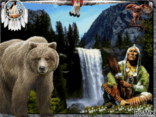 medvěd u vodopádu - Gratis animerad GIF