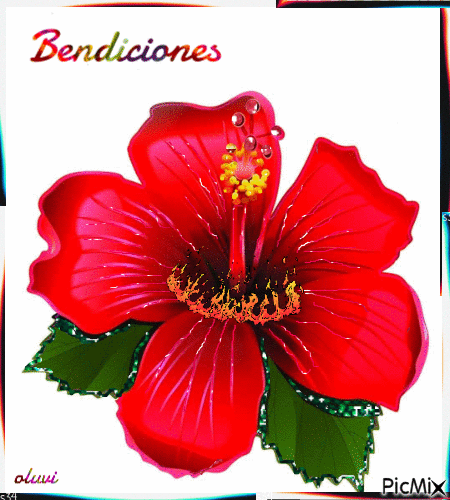 Hibiscus flower - Безплатен анимиран GIF