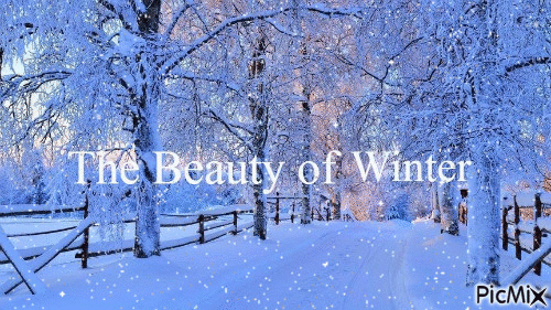 Winter Beauty - GIF animé gratuit