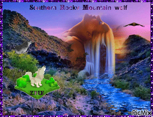 Southern Rocky Mountain wolf - Besplatni animirani GIF