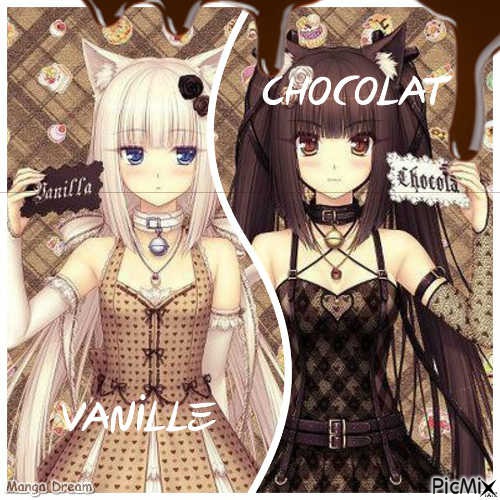 Chocolat / Vanille - png gratis