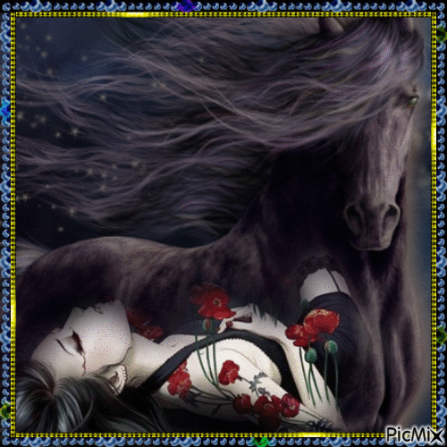 black horse !!!!! - Free animated GIF