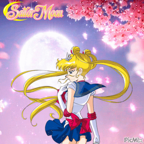Sailor Moon: Magic in the Moonlight - Бесплатный анимированный гифка