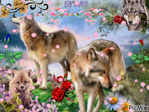 Wolf and flowers ma création a partager sylvie - Бесплатный анимированный гифка