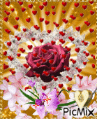 růže, růže... - GIF animate gratis