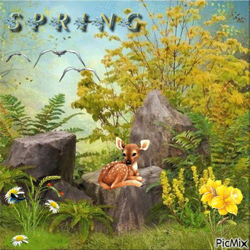 Spring - GIF animado gratis