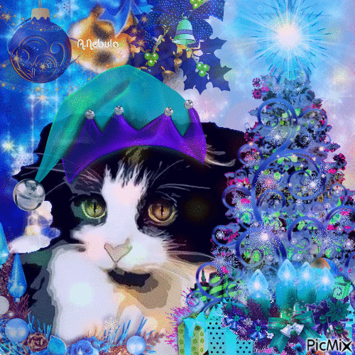 Christmas Kitty Cat/Contest - GIF animé gratuit