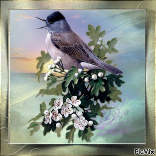 Vogel auf Blütenzweig - бесплатно png