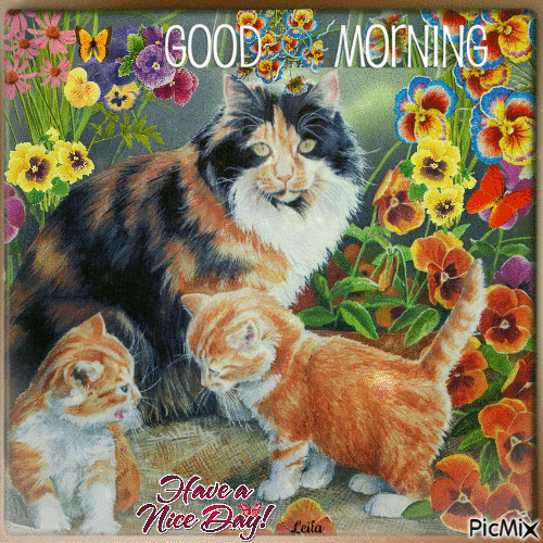 Good Morning. Have a nice day. Cats - 免费动画 GIF