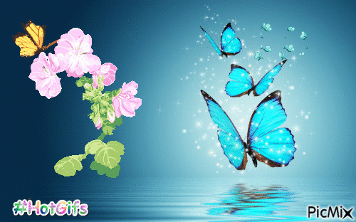 Пеперуди/ Butterfly - GIF animado gratis