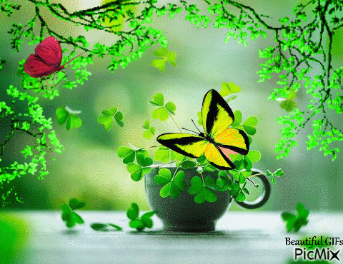 green butterfly - Free animated GIF - PicMix