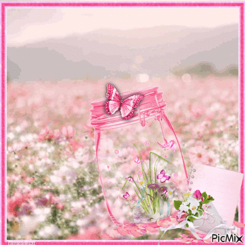 Schmetterlinge in einem Glas - Δωρεάν κινούμενο GIF