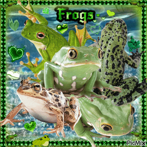 Frogs Appreciation - Free animated GIF