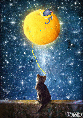 gato cosmos - GIF animate gratis