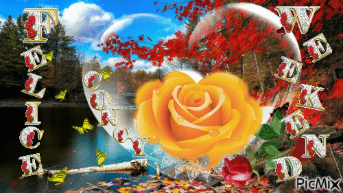 cuore e rosa - Darmowy animowany GIF