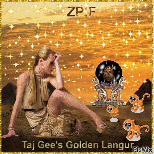 Taj Gee's Golden Langur - Free animated GIF