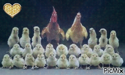 famille - Free animated GIF