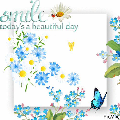 today's a beautiful day - Free animated GIF