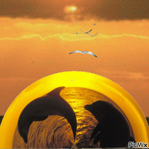 Dolphin - Bezmaksas animēts GIF