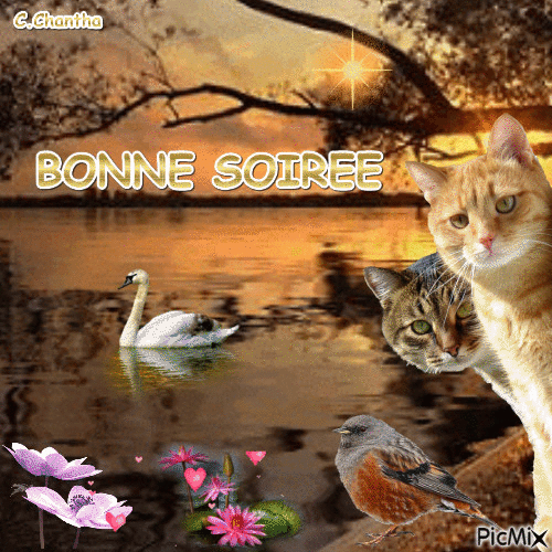 BONNE SOIRÉE - Animovaný GIF zadarmo