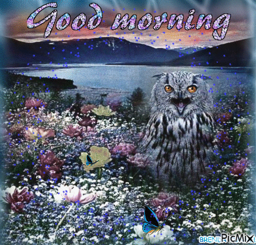 GOOD MORNING OWL 21 - Animovaný GIF zadarmo