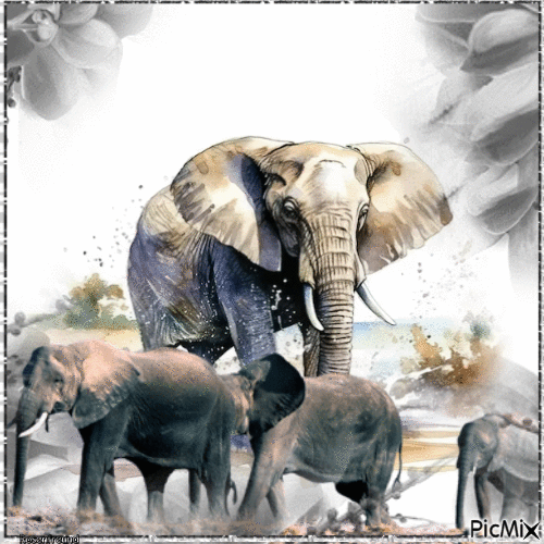 Elefanten - Gratis animerad GIF