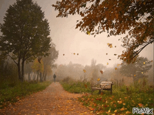il pleut - Besplatni animirani GIF