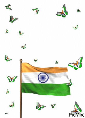 india - GIF animé gratuit