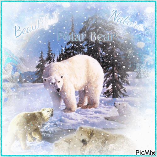 Polar Bear - Bezmaksas animēts GIF