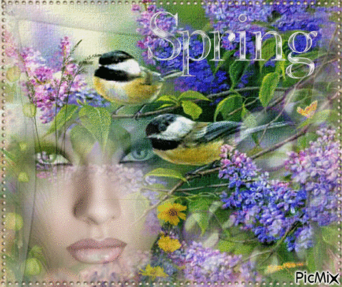 Portrait Woman Face Spring Flowers Birds Colors Butterflies Glitter Deco - Free animated GIF