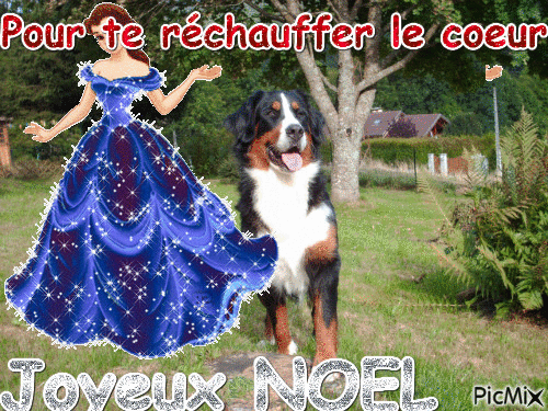 Joyeux NOEL - Bezmaksas animēts GIF