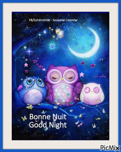 Bonne Nuit - Good Night - Безплатен анимиран GIF