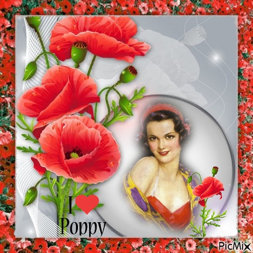 I love poppies - Free PNG