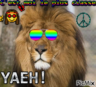 Le premier lion hippy - GIF animé gratuit