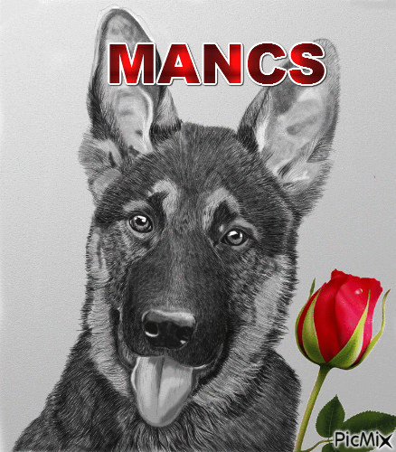 Mancs.03 - Animovaný GIF zadarmo