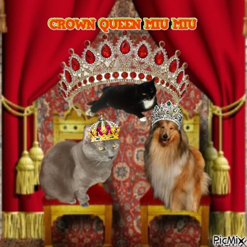 Crown Queen Miu Miu - zadarmo png
