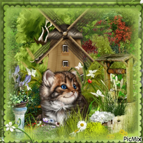 my  cat in the garden - Free PNG