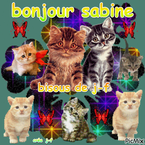 bonjour sabine - Zdarma animovaný GIF