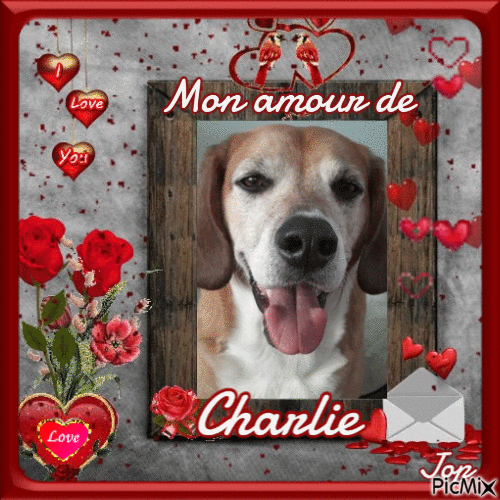 Mon amour de Charlie - Darmowy animowany GIF