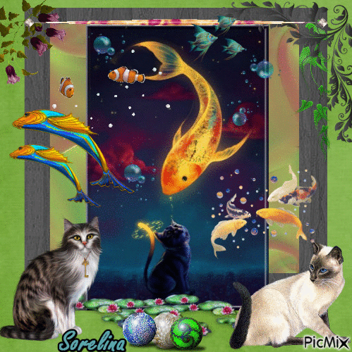 Poissons-Chats - Free animated GIF