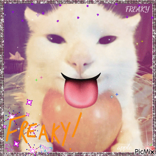 freaky cat - Gratis geanimeerde GIF
