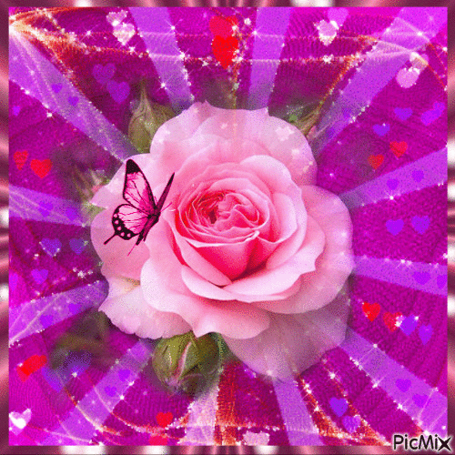 laura roses - Δωρεάν κινούμενο GIF