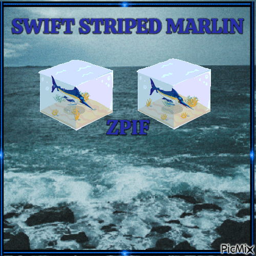Swift Striped Marlin - Animovaný GIF zadarmo