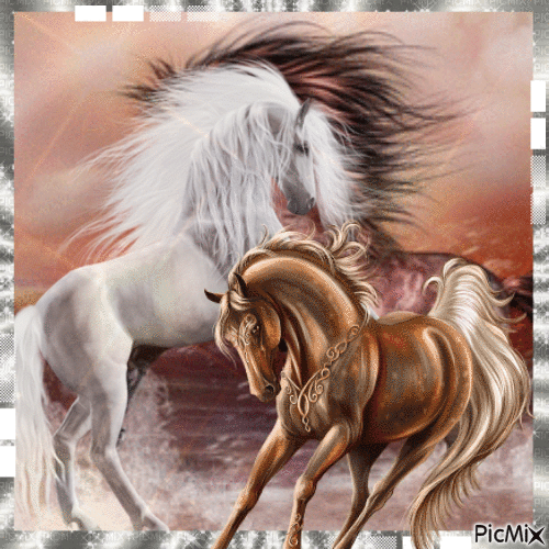 caballos salvajes - Animovaný GIF zadarmo