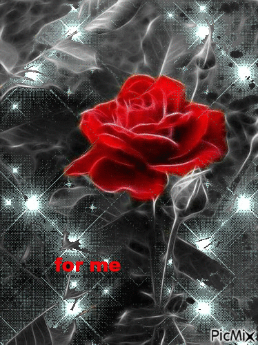 my rose - GIF animate gratis