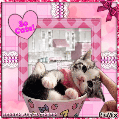 ♦♥♦Smol Pink Kat in Kup♦♥♦ - Kostenlose animierte GIFs