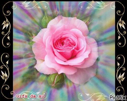 rosa - Бесплатни анимирани ГИФ