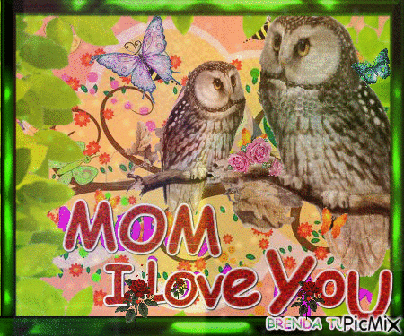 OWL MOTHERS DAY 3 - Free animated GIF