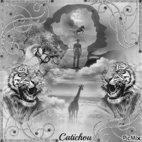 ☀ Création -caticha ☀ - 免费动画 GIF