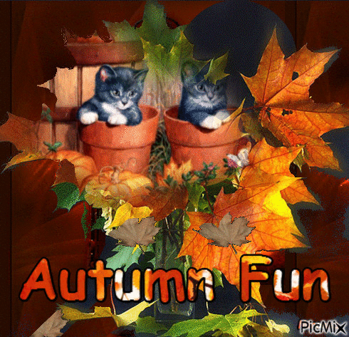 Autumn Fun - GIF animé gratuit